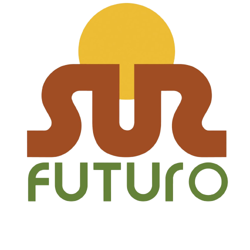 sur_futuro-removebg-preview